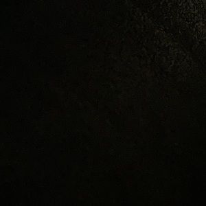 Meet your Posher, Shirley